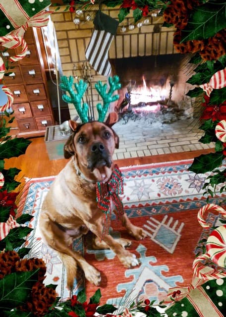 cartlon-walker-xmas-card-1200p